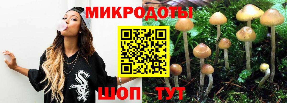 Галлюциногенные грибы GOLDEN TEACHER Кстово
