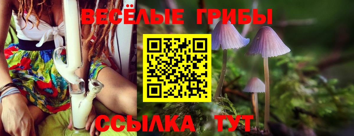 Псилоцибиновые грибы MAGIC MUSHROOMS  Вход с VPN  Кстово 